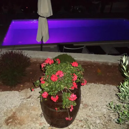 Apartment Bikic *